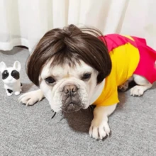 1 件宠物假发，假发宠物头饰，宠物万圣节装扮配件，适用于狗和猫 - 黑色 - 查看 3