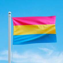Flags - Pansex - View 2