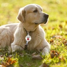 1 Miếng Y khoa Vật rủ xuống & Chó Tag & Xúc động Ủng hộ Thú vật Tag Thú cưng Đồ trang trí Thú cưng Chó Mèo Móc chìa khóa & Cái vòng Pet Thẻ ID Phụ kiện - Nhiều màu - Xem 2