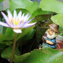 全新钓鱼迷你矮人花园装饰树脂雕像户外矮人珠宝趣味草坪矮人渔夫雕像最佳礼物 - 藍色 - 查看 4