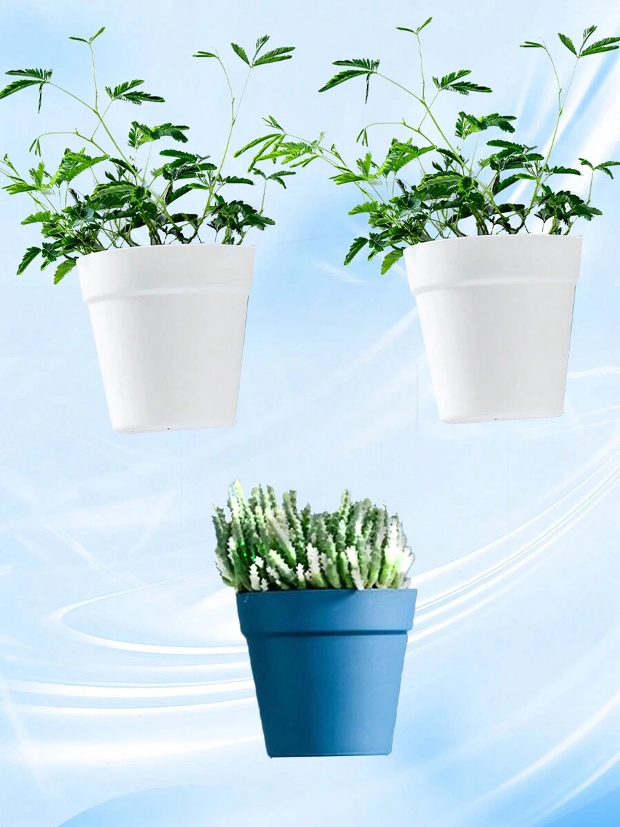 1 件水耕壁掛花盆,簡約植物盆栽裝飾 - 彩色 - 查看 1