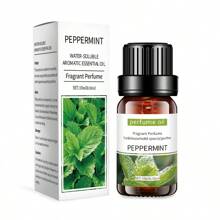 10ML Water Soluble Humidifier Aromatherapy Essential Oil Fragrance Oil Lavender Rose Aromatherapy Essential Oil - Each Is Perfect For Diffusers, Humidifiers - Mint - View 1