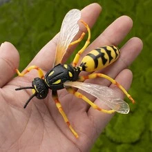 Great Hornet Life Cycle Model Bee Model - Apricot - View 5