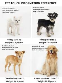 Rabbit Ear Decor Pet Hoodie - Grey - View 6