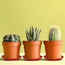 6 Packs Plant Saucer, 4 6 8 10 12 Inch Durable Plant Tray Flower Pot Saucer Round Pallets For Indoors And Outdoor, Plant Container Accessories