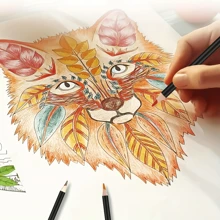 Advanced Color Pencil | A Set Of 72, 3.0mm Soft Core Leads With Rich And Vibrant Colors That Can Be Mixed, Perfect For Beginners And Advanced Artists (72 Color Oily Lead) Back To School