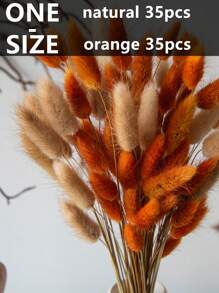 70/130 piezas Cola de conejo natural seca, color naranja y natural, decoración bohemia para centros de mesa de boda, decoraciones de otoño para el hogar, suministros para fiesta de baby shower. (Color naranja y natural), Día de San Valentín, Regalo - color naranja - Ver 2