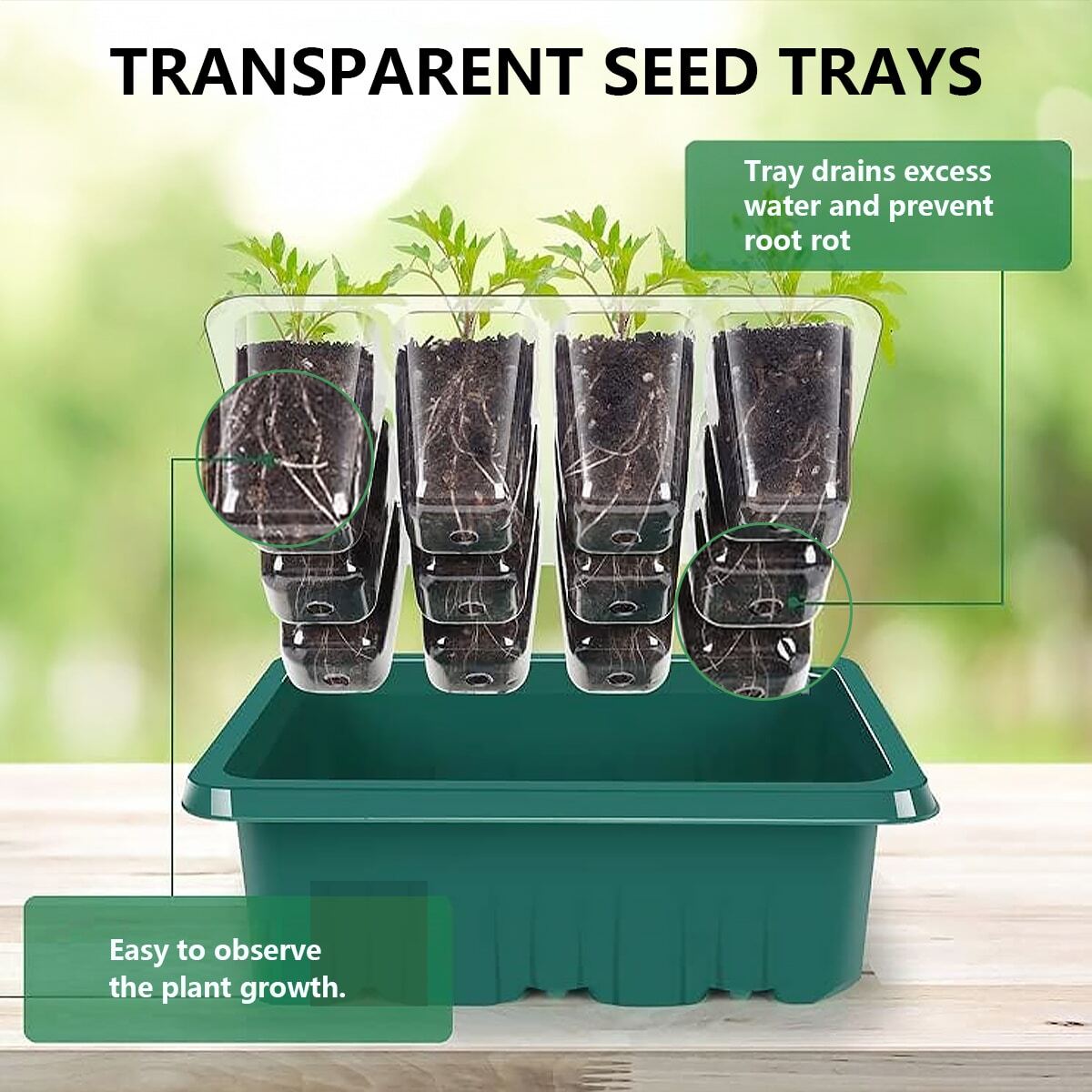 Seed Starter Tray With Grow Light, 5 Pack Plant Germination Kit With