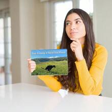 1pc 2024 Cute And Funny Dog Poop Calendar, Hanging Style Dogs Picture Calendar,Back To School,School Supplies - Multicolor - View 6