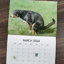 1pc 2024 Cute And Funny Dog Poop Calendar, Hanging Style Dogs Picture Calendar,Back To School,School Supplies - Multicolor - View 5
