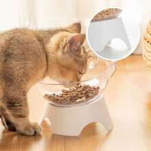 Cat Bowl, High Feeding Stand With Plastic Slanted Non-Slip Feeding Bowl For Pet Dogs And Cats - Black - View 5