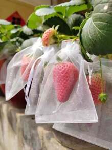 10pcs Fruit Protection Net Bag, Anti-Bird Mesh Net Bag For Fig, Persimmon, Strawberry, Blueberry And Cherry - White - View 5