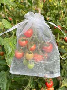10pcs Fruit Protection Net Bag, Anti-Bird Mesh Net Bag For Fig, Persimmon, Strawberry, Blueberry And Cherry - White - View 4