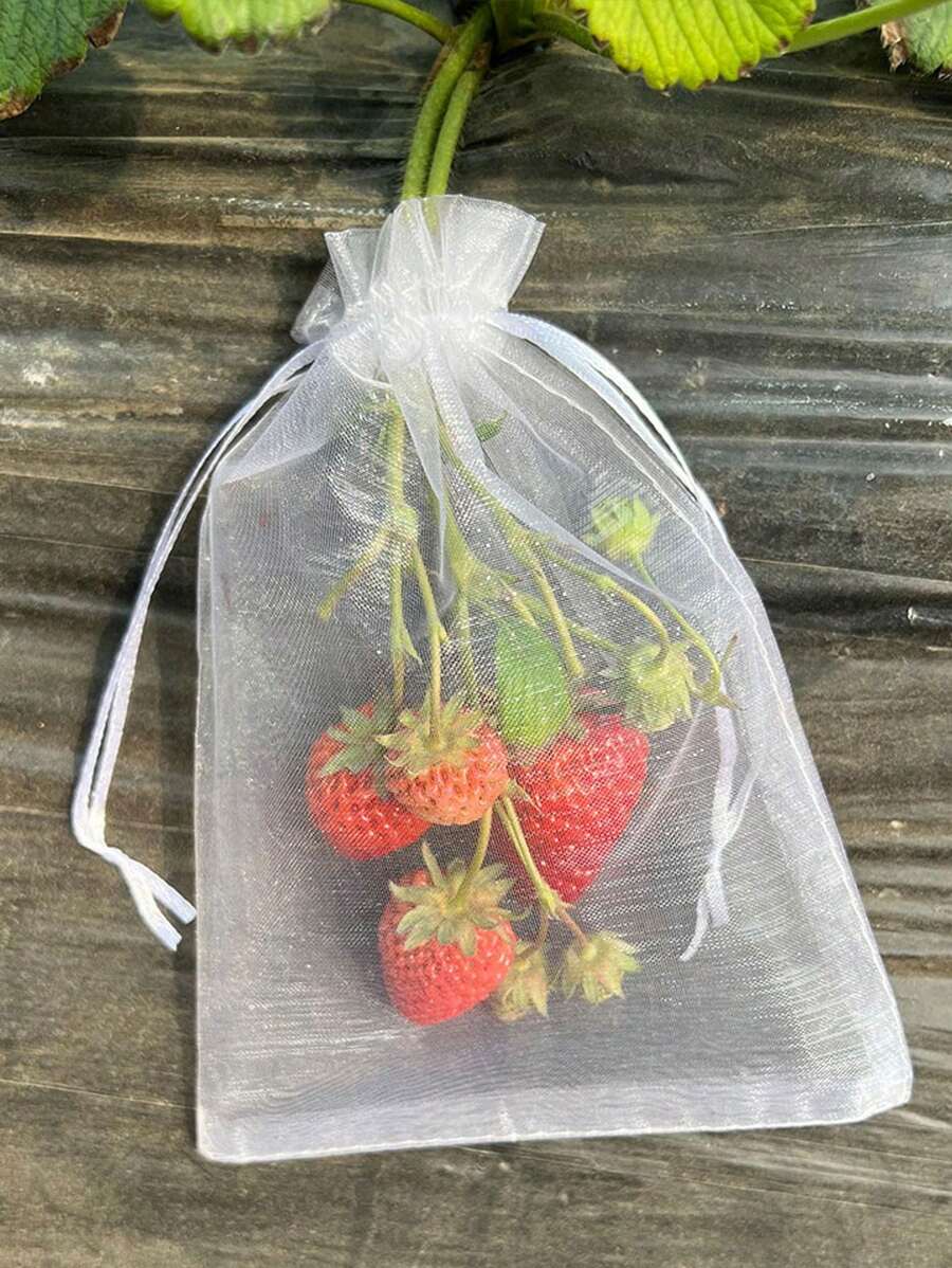 10pcs Fruit Protection Net Bag, Anti-Bird Mesh Net Bag For Fig, Persimmon, Strawberry, Blueberry And Cherry - White - View 1