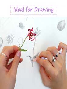 24PCS HB Pencils, Macaron Pencils With Eraser, Drawing And Writing Pencils With 2 Sharpeners(Random Color), Suitable For Writing, Drawing And Sketching,School And Office Supplies - Multicolor - View 5