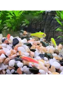 Natural Rain Flower Stone Aquarium Gravel Landscaping Pebbles For Turtle Tank And Fish Tank, 250g/Pack - Multicolor - View 3