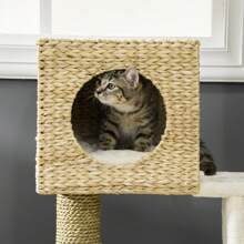 PawHut Árbol Rascador para Gatos Medianos Altura 100,5 cm Torre para Gatos con Cama Superior y Cueva de Totora 2 Cojines 2 Postes Escalera 57x37x100,5 cm Natural - Beis - Ver 6