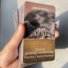 12x7cm Broken Mirror Oracle Cards  Deck For Beginners With Keywords Prophecy Divination Fortune Telling English Version 55-Cards - Multicolor - View 9