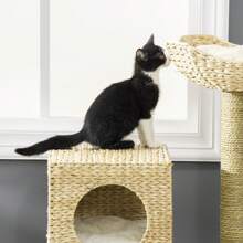 PawHut Árbol Rascador para Gatos Medianos Altura 100,5 cm Torre para Gatos con Cama Superior y Cueva de Totora 2 Cojines 2 Postes Escalera 57x37x100,5 cm Natural - Beis - Ver 9