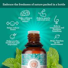 Peppermint Essential Oil 15 ML - Apple - Xem 4