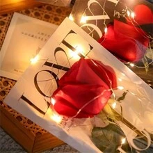 20 cái/gói Ngày lễ Mẹ , Lễ cưới DIY Giường đơn Bó hoa Bao bì , Trong suốt Không thấm nước Hoa Cái túi , Hoa hồng Bao bì , Thích hợp Cho đám cưới Và Lễ hội DIY Hoa - chữ TÌNH YÊU - Xem 3