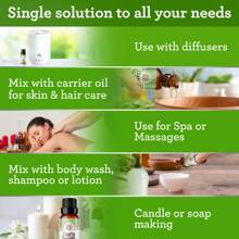 GuruNanda Tea Tree Essential Oil 15 ML