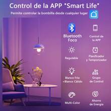 LED Bulbs - 彩色 - 查看 2