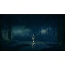 Dark Souls Trilogy (PS4) - standard - View 7