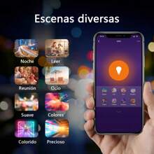 LED Bulbs - 彩色 - 查看 9