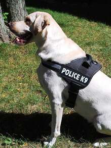 1 Pechera Arnés Ajustable Cómodo Para Perro Gato Con Perros, Correa Pectoral De Pecho Para Mascotas - Negro - Ver 9