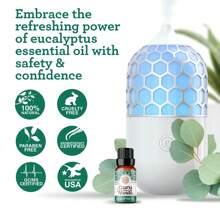 GuruNanda Eucalyptus Essential Oil 15 ML