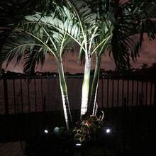 1 pieza Lámpara solar impermeable para exteriores para crear ambiente, iluminación de jardín exterior para senderos, patios y yardas - Blanco y Negro - Ver 7