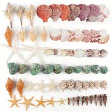 70pcs+Sea Shells Mixed Ocean Seashells, 1.2"-3.5" Various Sizes Beach Seashells And Natural Starfish For Vase Fillers Fish Tank Beach Themed Party Home Wedding Decorations DIY Crafts - Multicolor - View 5
