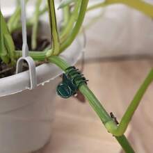 1/10/20/50/100入組蘭花夾，藤夾，花園夾，蝴蝶蘭夾，裝飾夾，植物園藝夾固定夾 - 彩色 - 查看 7