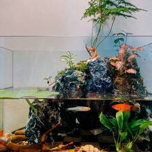 1入組/袋貓咪釣魚微型雕像,適用於微型景觀和魚缸裝飾盆栽貓咪手工藝花園戶外用品露台草坪庭院套件diy配件桌上裝飾 - 棕色 - 查看 6