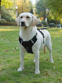 1入黑色新反光寵物背包,易控制手柄,可調節透氣狗背包,適用於小型、中型和大型犬隻的戶外行走和訓練 - 黑色 - 查看 1