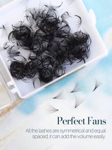 SONG LASHES 10D 预制扇形假睫毛，根部纤细，专业美睫师适用，适用于睫毛簇、单根假睫毛、假睫毛等。 - 黑色 - 查看 6