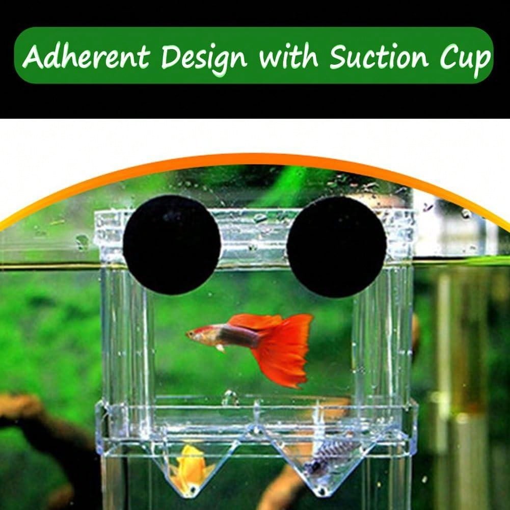 Fish Tank Fry Breeding Box With Acrylic Separator Plate And Suction