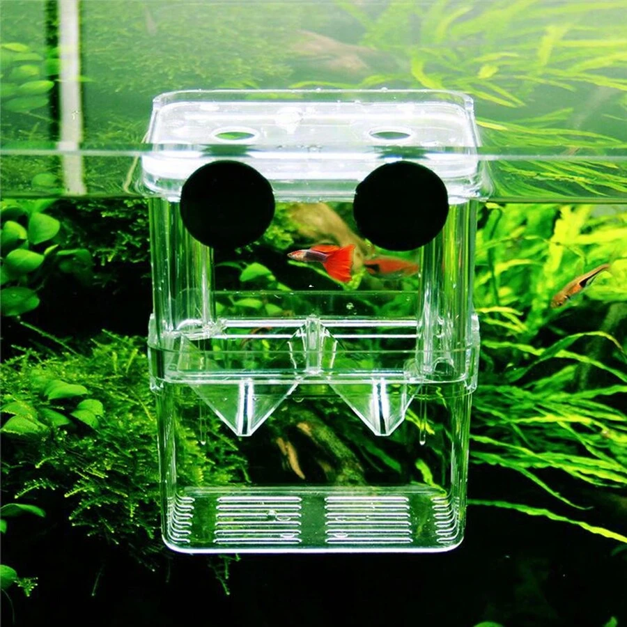 Fish Tank Fry Breeding Box With Acrylic Separator Plate And Suction