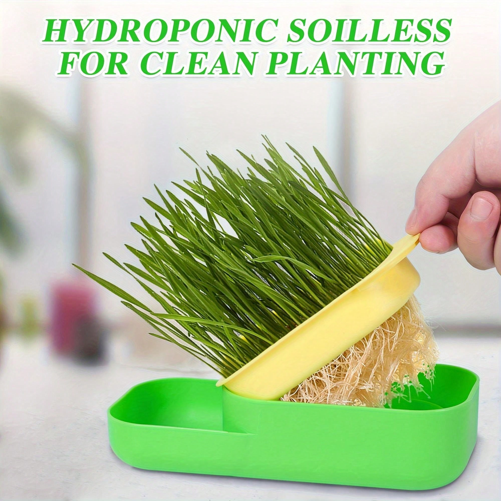 New Cat Grass Hydroponic Planter Kit, Wheat Seeds Cultivation Set For