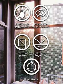 Window Stickers & Films - Transparente - View 5