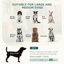 PawHut Dog Sofa With Legs Water-Resistant Fabric, Pet Chair Bed For Large, Medium Dogs, 100 X 62 X 32 Cm - Green - View 3