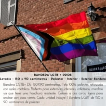 Flags - Multicolor - View 4