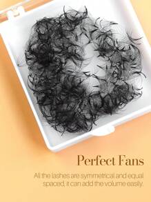 SONG LASHES 8D Premade Fans Pointy Base Sharp Thin Root Premade Fans For Salon Lash Clusters,Eye Lash Clusters,Individual Eyelashes,Lashes,Fake Lashes - Black - View 6