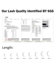 Winky Beauty 12排哑光深黑色浓密DD卷翘睫毛延长自然经典俄罗斯睫毛柔软个人人造貂皮假睫毛预制优质羊绒个人美容院高品质睫毛托盘造型师8-16毫米睫毛簇,睫毛簇,单根睫毛,睫毛,假睫毛 - DD - 查看 11