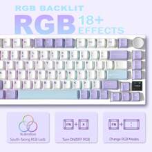 ATTACK SHARK * AJAZZ AK820PRO 75% TKL 机械键盘，2.4G 无线/BT5.1/USB-C 有线，81 键带 TFT 彩色显示屏和 CNC 旋钮游戏键盘，RGB 背光，热插拔线性开关，4000mAh 电池 - 紫白&飛魚軸 - 查看 4