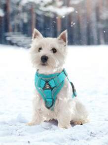 1pc Pet Chest And Back Strap Set With Reflective Breathable Mesh Vest Style, Including Leash, Suitable For Medium And Small Size Dogs And Cats, Great For Outdoor Activities - Dark Green - View 11