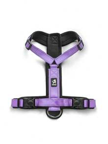 Thú cưng Có thể thu vào Dây xích Phản chiếu Không kéo Harness Và Dây xích Bộ Đối với Nhỏ bé Đến Trung bình Chó - Màu tím - Xem 3