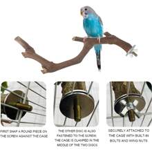 5pcs Bird Perch Stand With Grape Pepper Wood & Barkless Tree Branch Suitable For Parrots And Other Small Birds