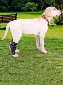 1/2 件前后钩关节支撑狗腿支架，黑色，有助于稳定性 - 黑色 - 查看 1